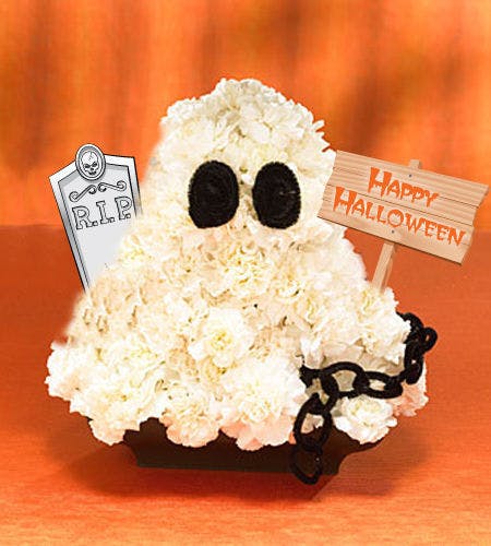Boo, The Friendly Flower Ghost: Who wouldn’t love a ghost made of