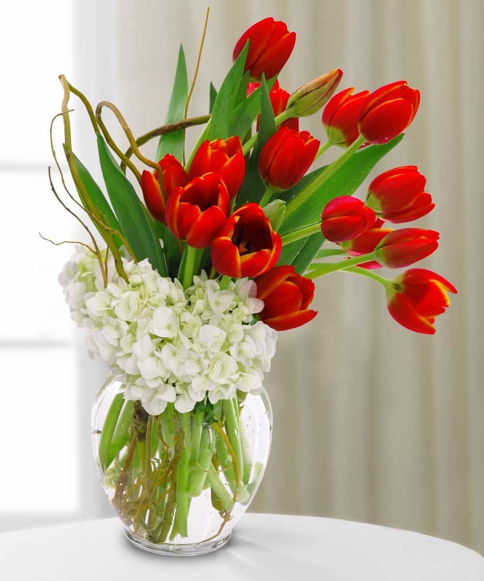 True Love's Tulips 3 SIZES Available Same Day Flower Delivery to