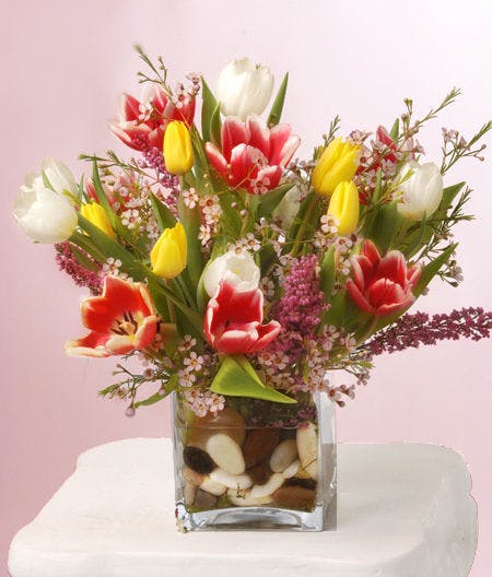Tiptoe Through the Tulips Spring! Available Same Day Flower Delivery