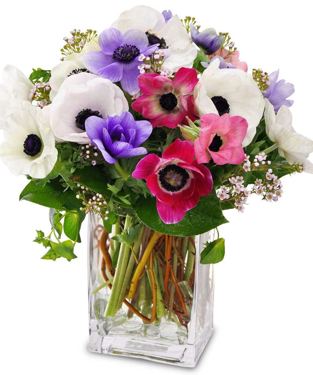 Monroe Connecticut Flower Delivery Sameday Delivery Monroe