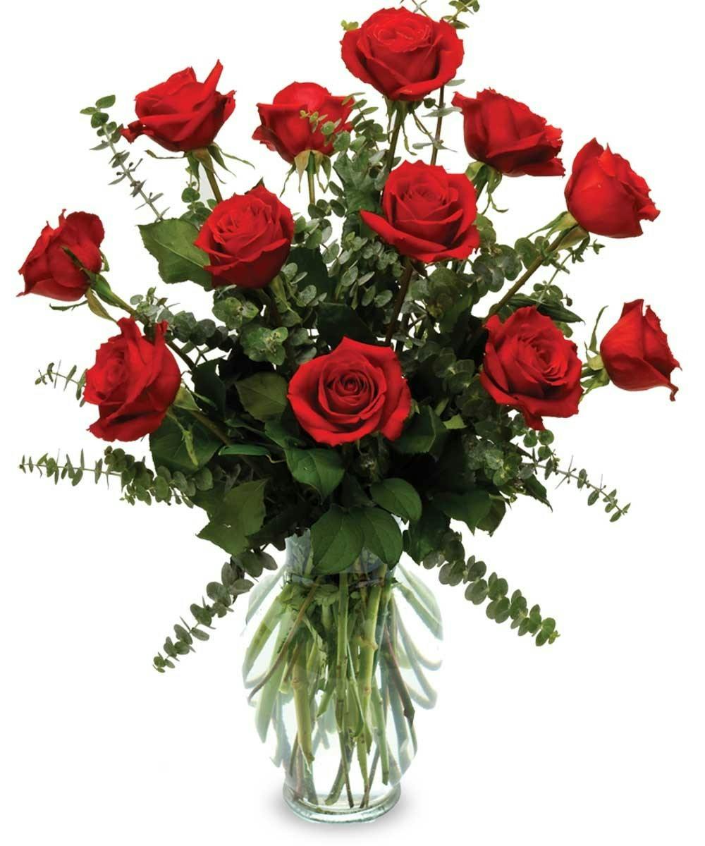 Dozen Long Stem Red Roses