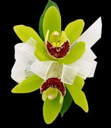 Cymbidium Orchid Wristlet