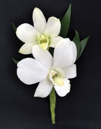Dendrobium White Orchids Boutonniere Prom Corsage
