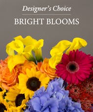 Bright Blooms - Designer's Choice