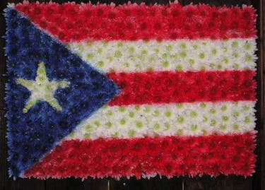 Puerto Rico Flag