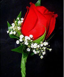 single red rose