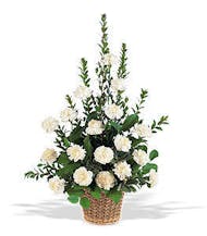 White Carnations
