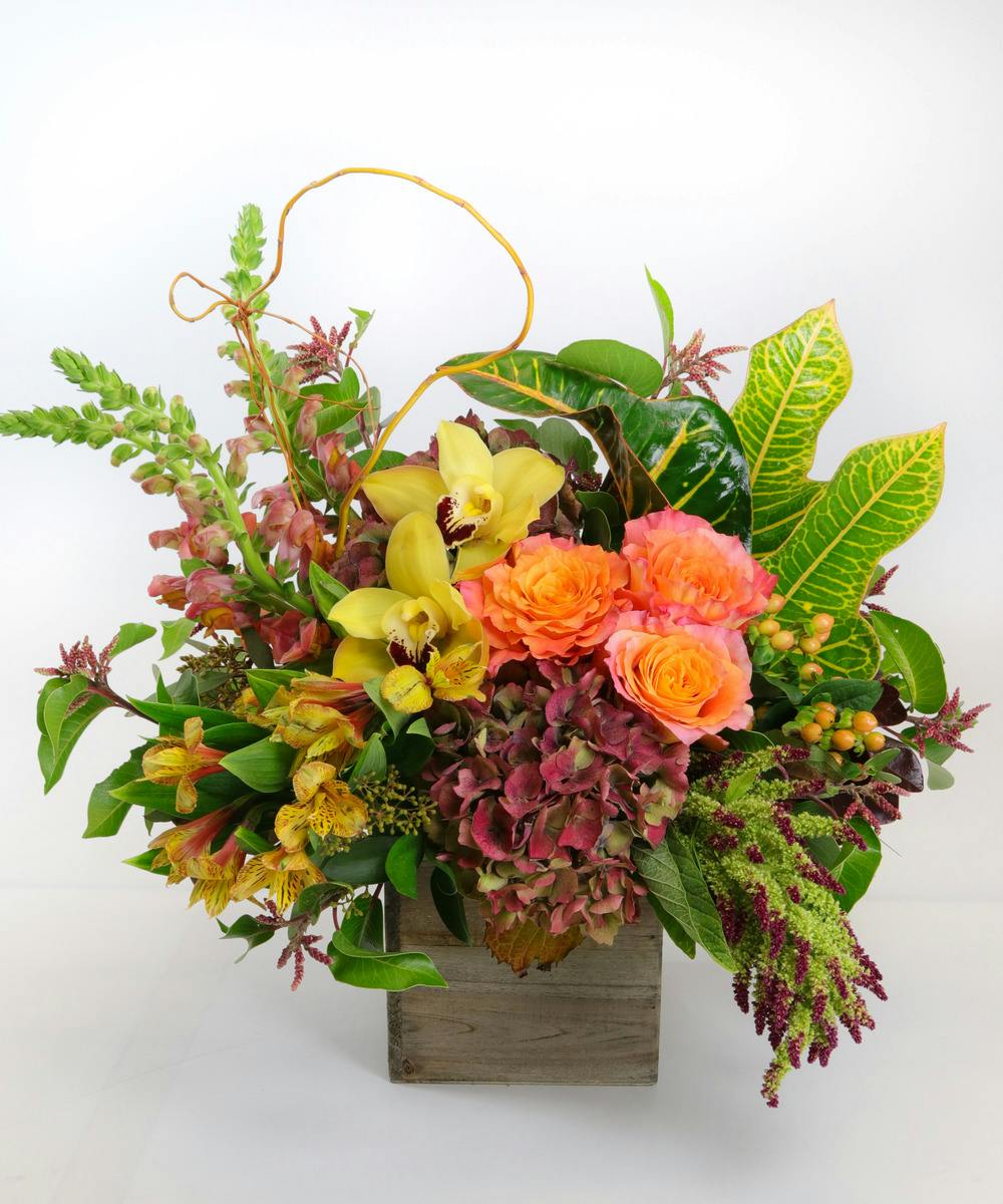 Free Fallin' Trumbull (CT) SameDay Fall Flower Delivery City Line