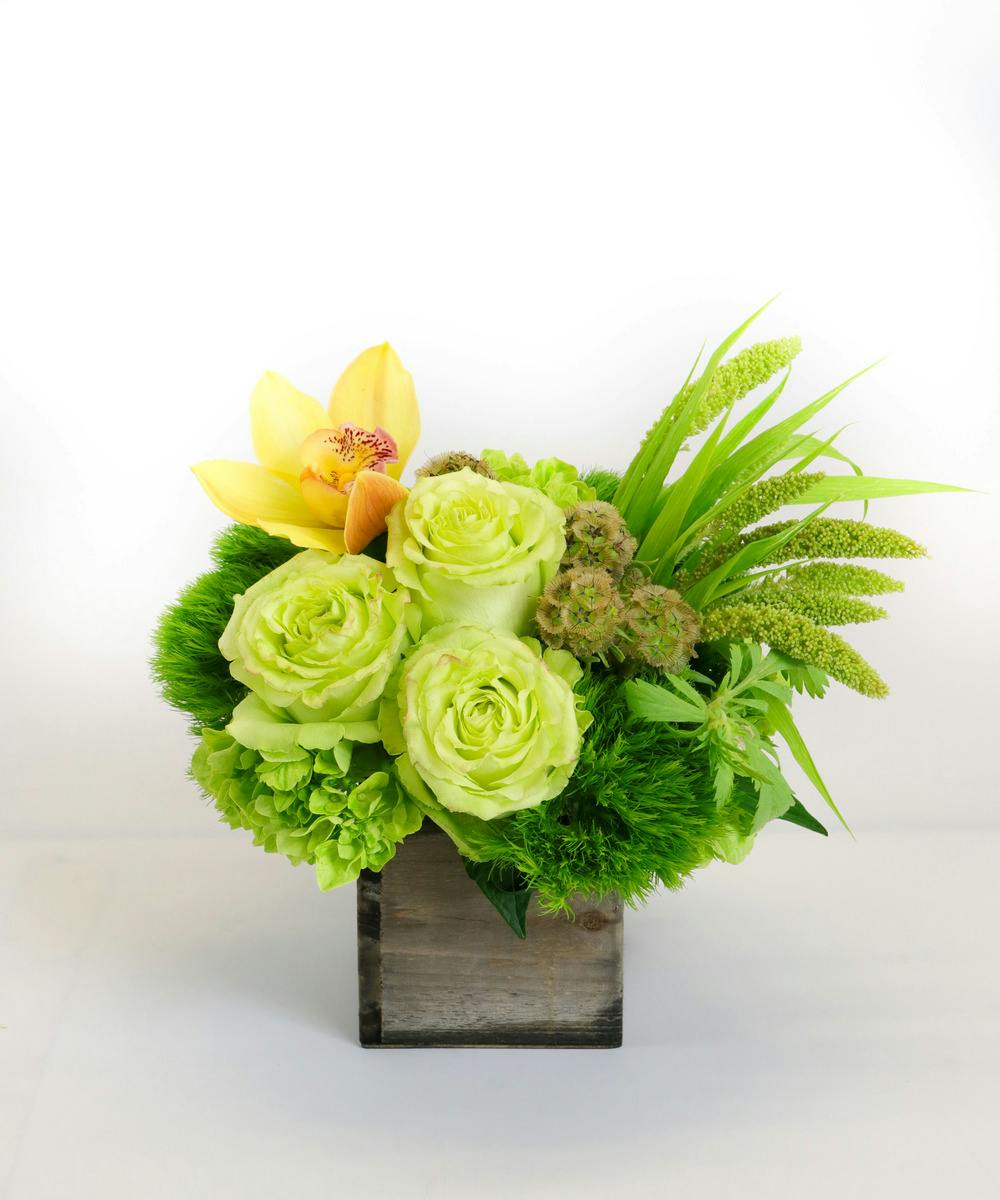 Trumbull Zest Flower Delivery (CT) City Line