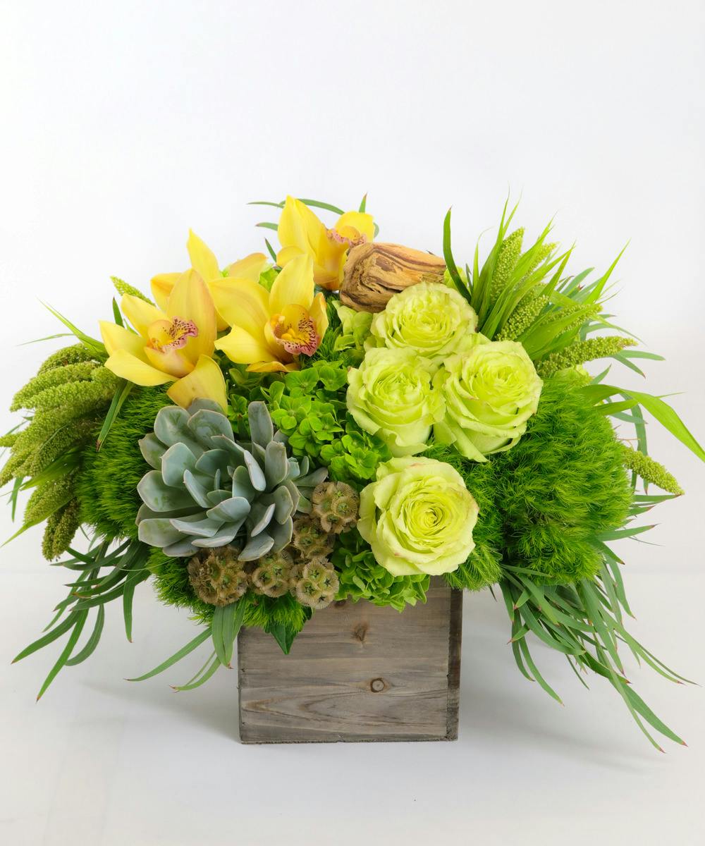 Trumbull Zest Flower Delivery (CT) City Line