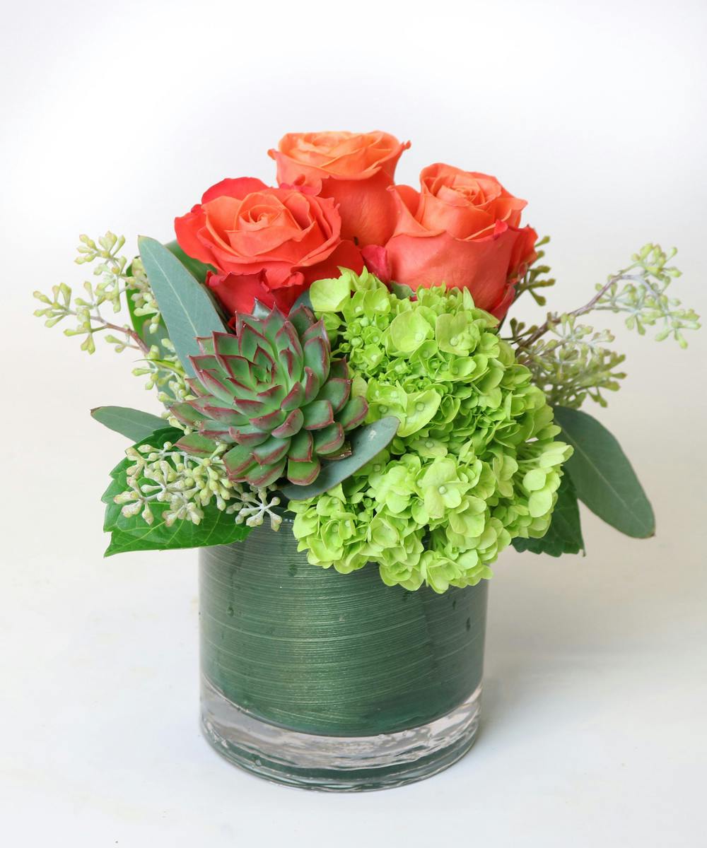 Succulent Sunset Bridgeport Connecticut Sameday Delivery