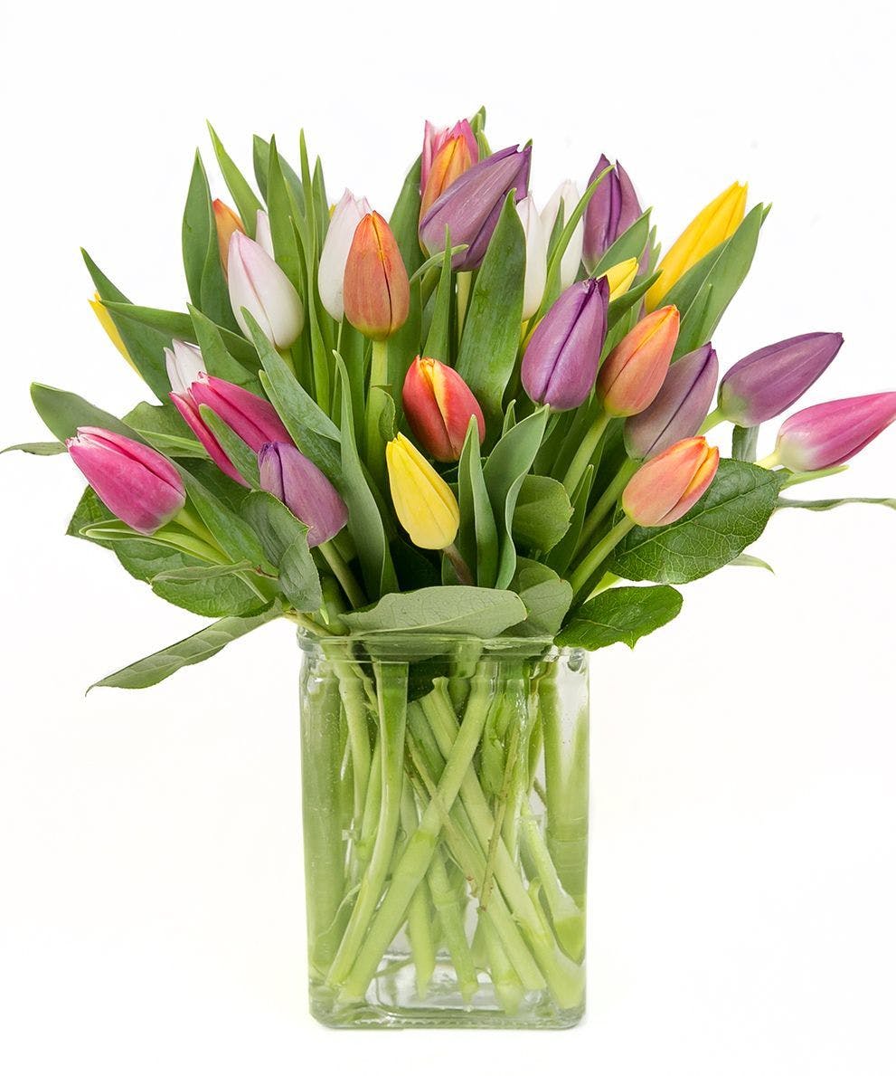 Best Flower Delivery Shelton & Trumbull, CT City Line Florist