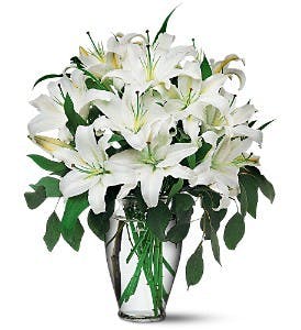 Casablanca Lilies Floral Delivery Connecticut City Line Florist