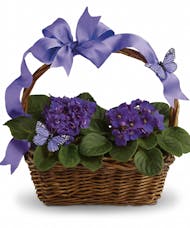 African Violet Basket