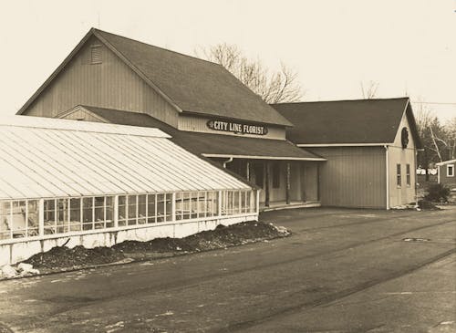 The view from our greenhouse, looking past our showroom